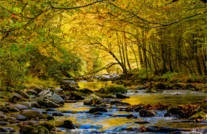 The fall's best American national parks: a stream in Rocky Mountains National Park.