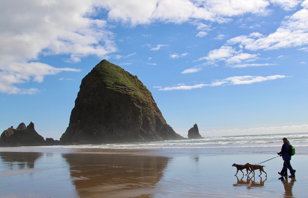 Oregon Coast road trip itinerary: Haystack Rock on Cannon Beach in Oregon